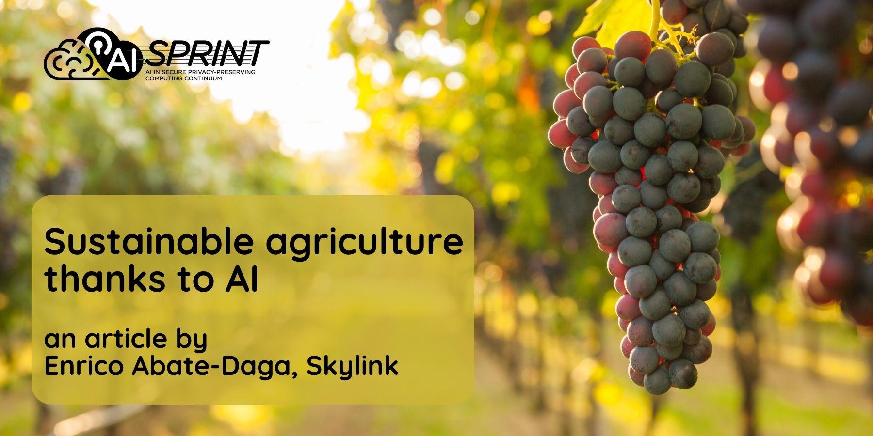 Sustainable agriculture thanks to AI